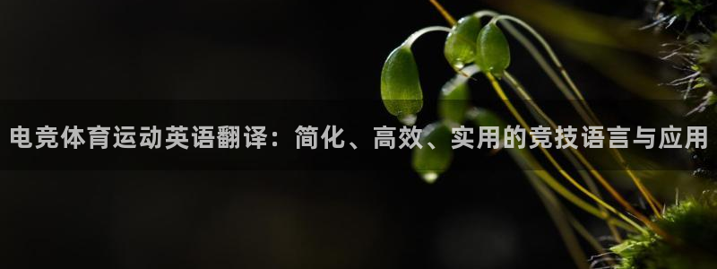 球客岛