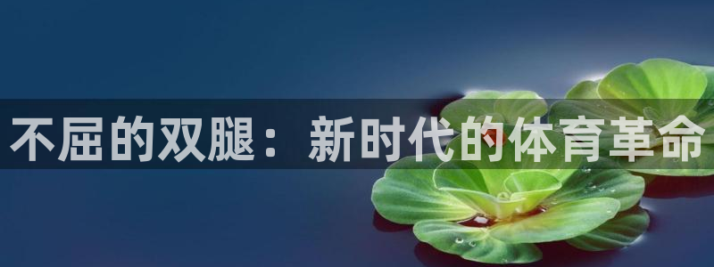 球客岛