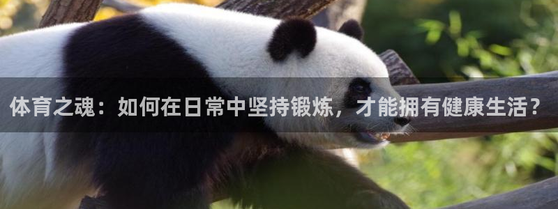 球客岛：体育之魂：如何在日常中坚持锻炼，才能拥有健康生活？