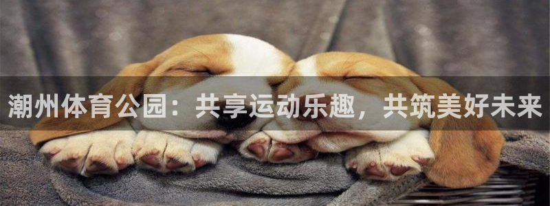 球客岛