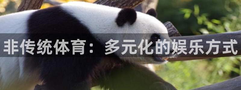 球客岛