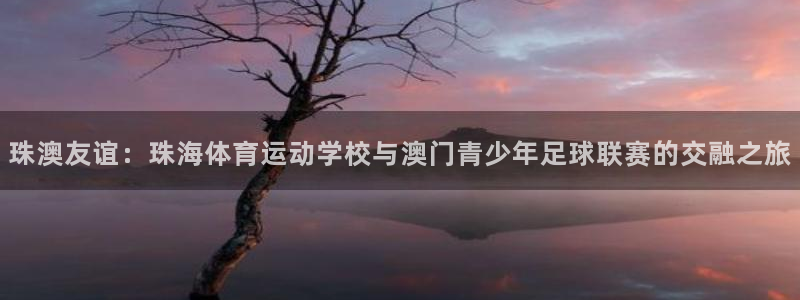 球客岛