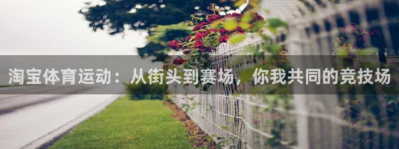 球客岛：淘宝体育运动：从街头到赛场，你我共同的竞技场