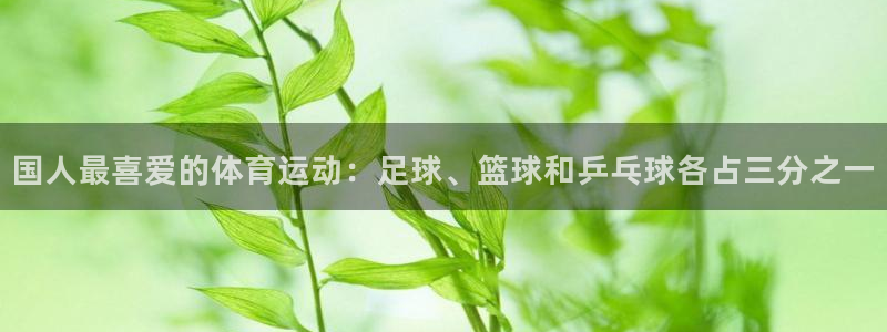球客岛：国人最喜爱的体育运动：足球、篮球和乒乓球各占三分之一