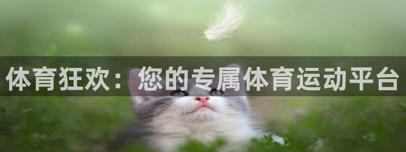 球客岛