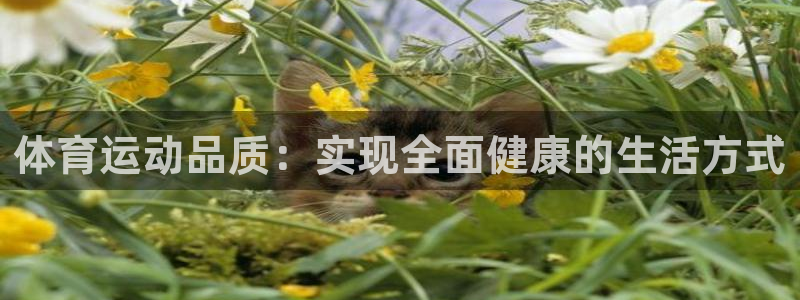 球客岛